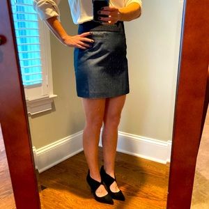 Charcoal Gray Fitted Skirt